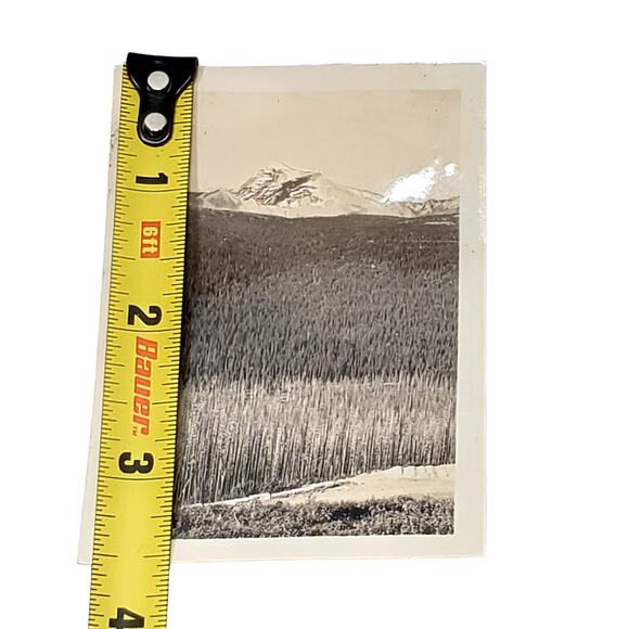 Vtg B&W Photo 1940s Found Yellowstone Park Snowy Top Mountain View Snapshot - Picture 3 of 4